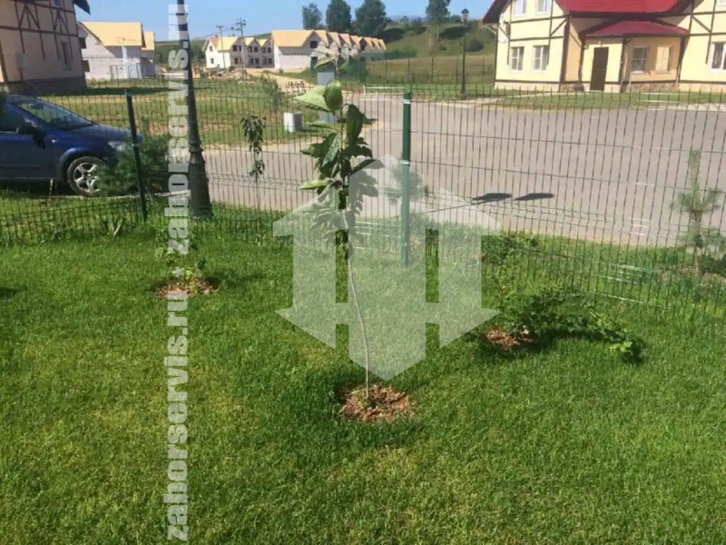 3D забор 96 метров зеленый 5мм